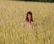 In the field of golden wheat from very big wheat girl sex