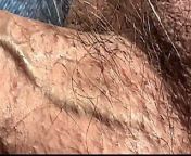 Close up scan of cock shaft veins from scan gay se