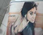 Shriya saran is awesome from shriya saran nip slip