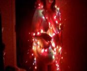 My BBW Bunny & Christmas Lights from sunny phots xxx