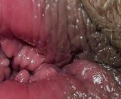 Tiny 18 year old pussy inspection 8k from anal 8k