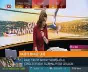 Turkish Anchorwoman Ela Rumeysa Cebeci from hilal cebeci