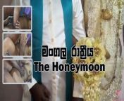 The Honeymoon - The first day of fuck my wife Dishy's Pussy from colombo honeymoon day