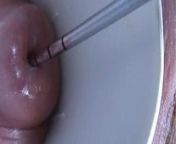 Cervix Fucking with Sounds Cervical Masturbation Utherus from cervical mucus ovulation dirty panties mypussydischarge6