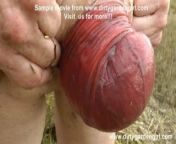 Fucking pussy with giant Seahorse on the farmers field DGG from watan deej sexorse and girl sexi videos wap com