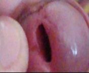 The big penis hole where lots of delicious cum comes out to eat. from tamil boys sex big penis