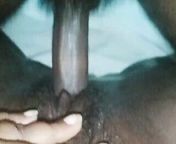 Sri lanka house wife shetyyy black chubby pussy new video e from indian mature house wife home sex devar mp4