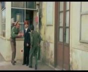 funny comedy italian vintage bbw from film conedy italian