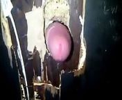 Real Genuine Glory Hole from uk public nudity mid day