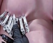 Nipple Torment Punishment from metal labia clamps