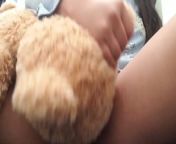Humping teddy from teddyfleece