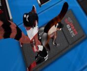 Public Gym Fuck Red Panda Cumflation Breeding - Second Life Yiff from cartoon kufu panda and tigeres xxx