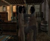 Group orgies at night in the Skyrim game | Sex Game ADULT mods from vrge