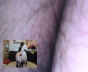 Giantess Mistress puts you in her ass and makes you die for her farts from giantess pov vore
